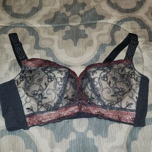 Elegant Lace Black and Red Bra